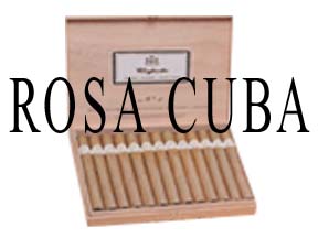 Rosa Cuba Governors Medium Brown
